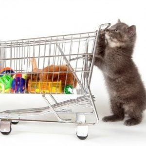 best online stores for pet supplies